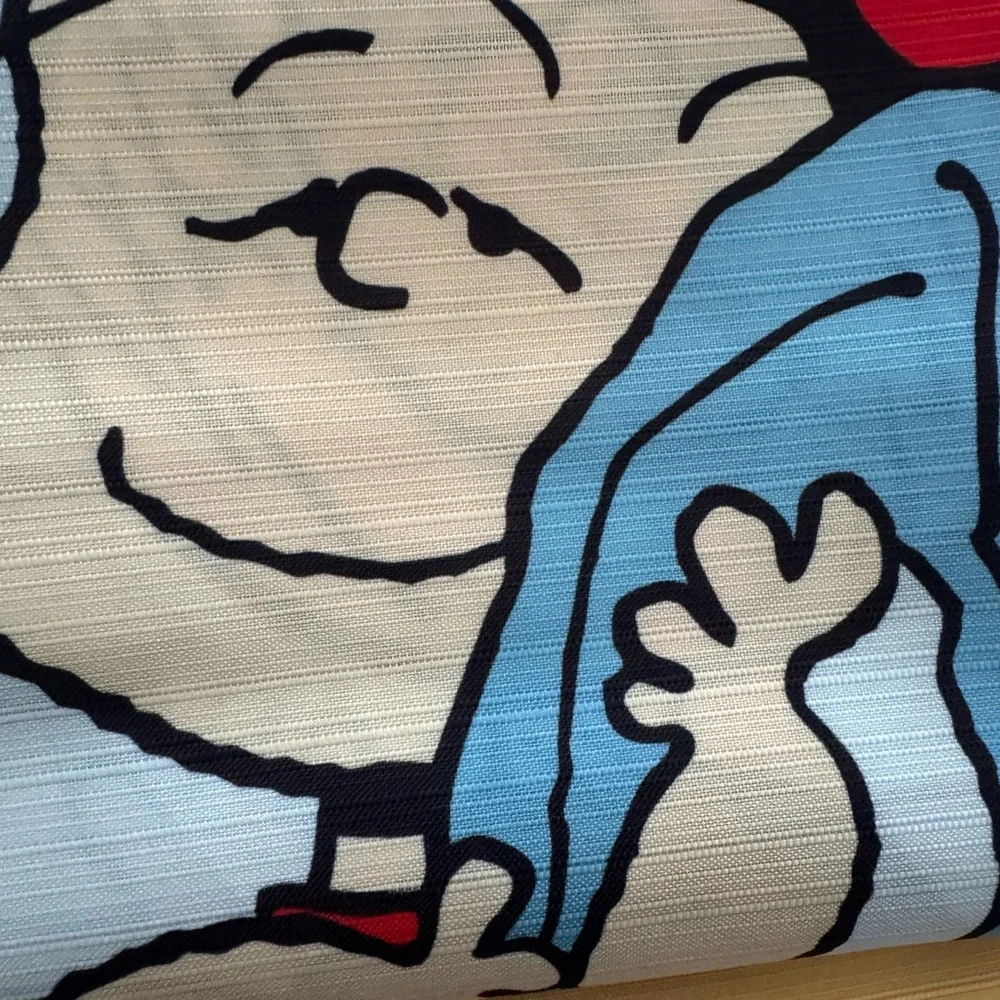 Peanuts Shower  Curtain  - Cartoon Characters on Blue Background Snoopy 72x72”